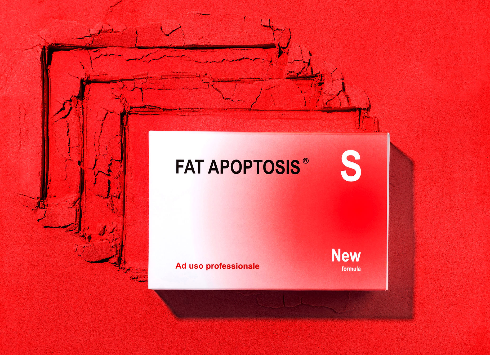 FAT APOPTOSIS S